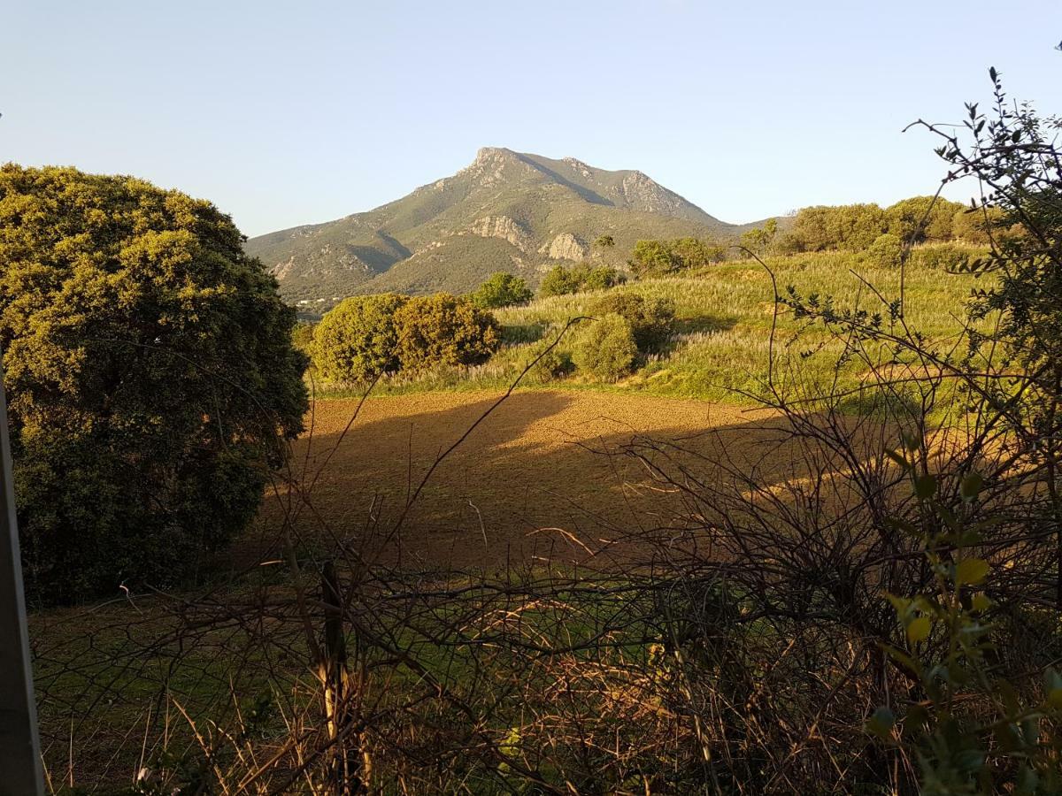 Un Charme Absolu Villa Bastelicaccia Luaran gambar